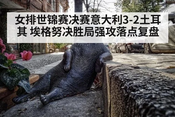女排世锦赛决赛意大利3-2土耳其 埃格努决胜局强攻落点复盘